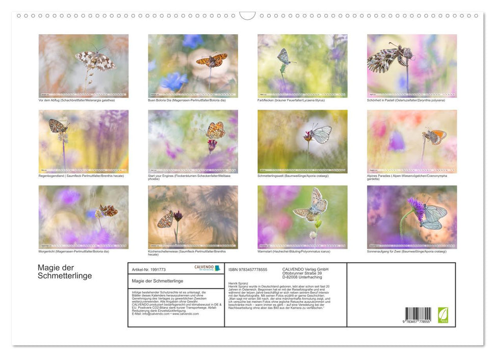 Magie der Schmetterlinge (CALVENDO Wandkalender 2026)