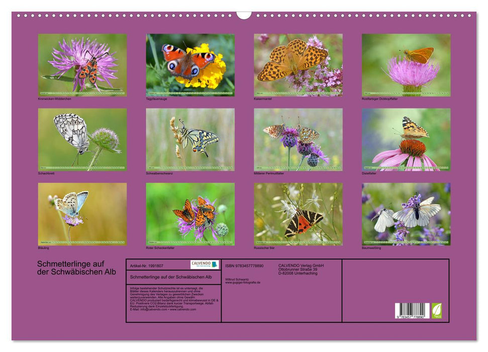 Schmetterlinge auf der Schwäbischen Alb (CALVENDO Wandkalender 2026)