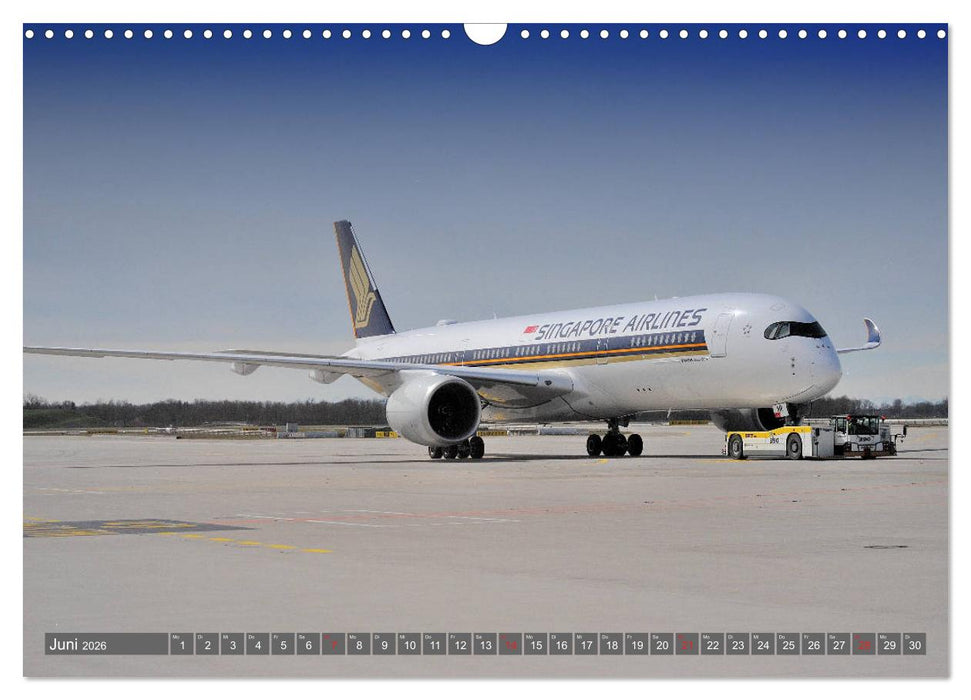 Flugzeuge zwischen Himmel und Erde (CALVENDO Wandkalender 2026)