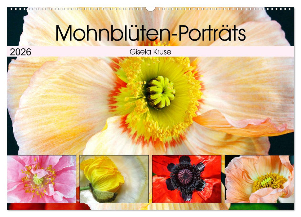 Mohnblüten-Porträts (CALVENDO Wandkalender 2026)