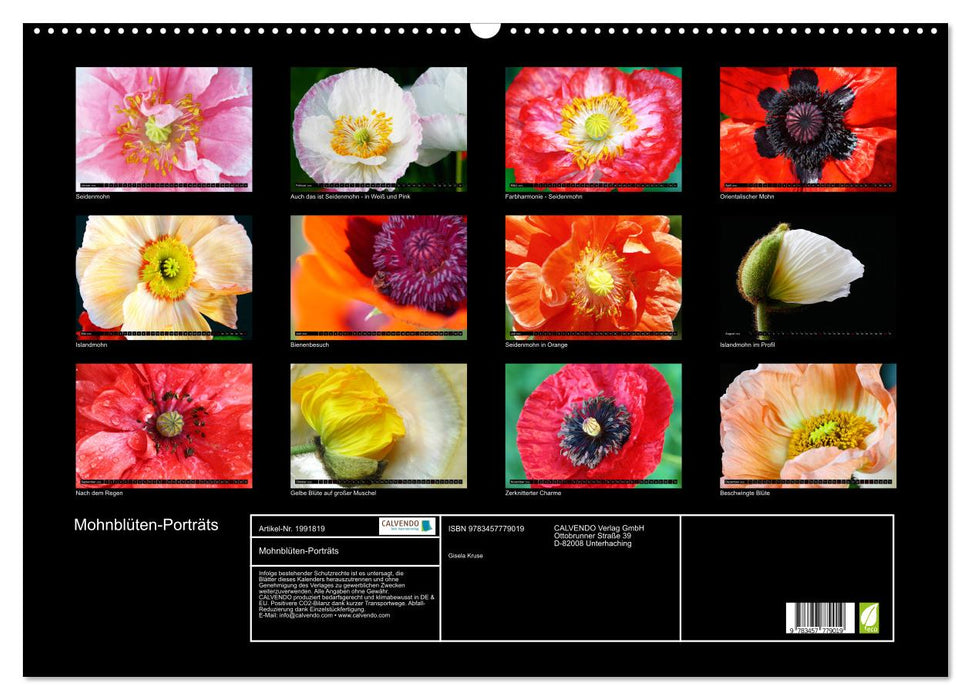 Mohnblüten-Porträts (CALVENDO Wandkalender 2026)