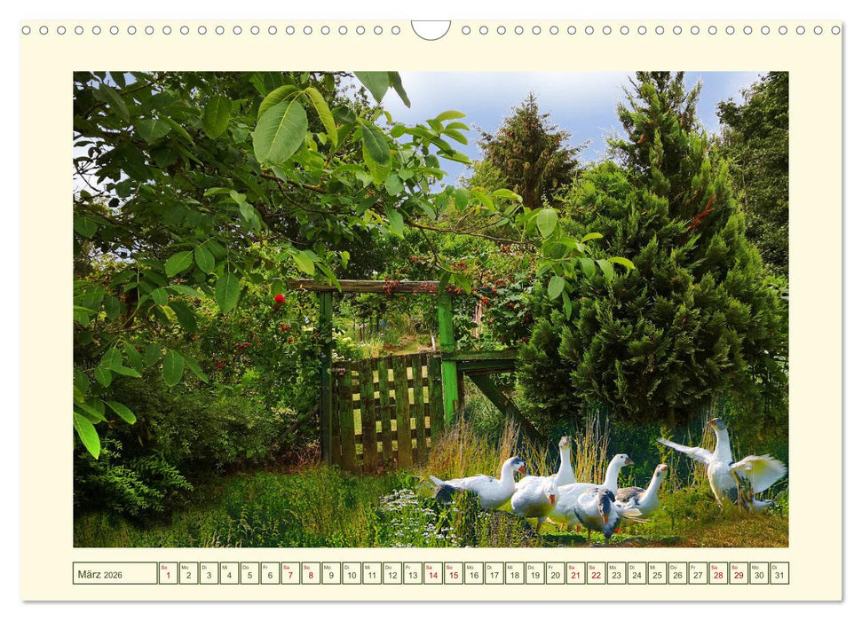 Mein schönes Land - Landliebe Wetterau (CALVENDO Wandkalender 2026)