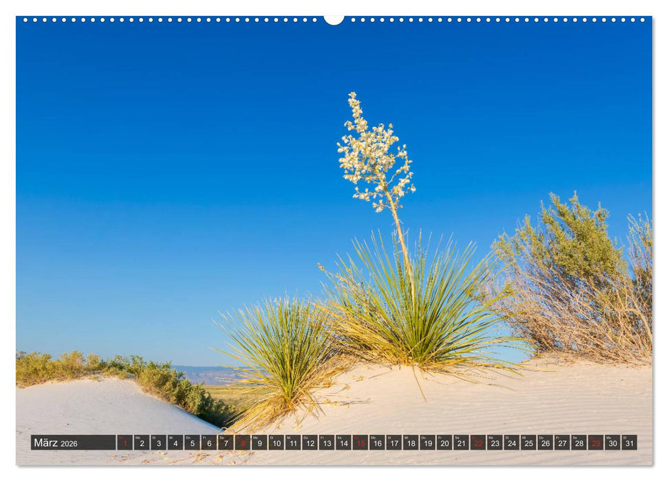 WHITE SANDS Die weiße Wüste in New Mexico (CALVENDO Wandkalender 2026)