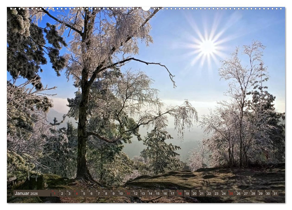 Die Schönheit der Sächsischen Schweiz (CALVENDO Wandkalender 2026)