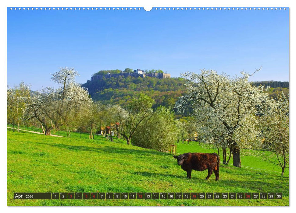 Die Schönheit der Sächsischen Schweiz (CALVENDO Wandkalender 2026)