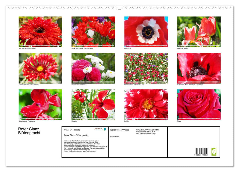 Roter Glanz Blütenpracht (CALVENDO Wandkalender 2026)
