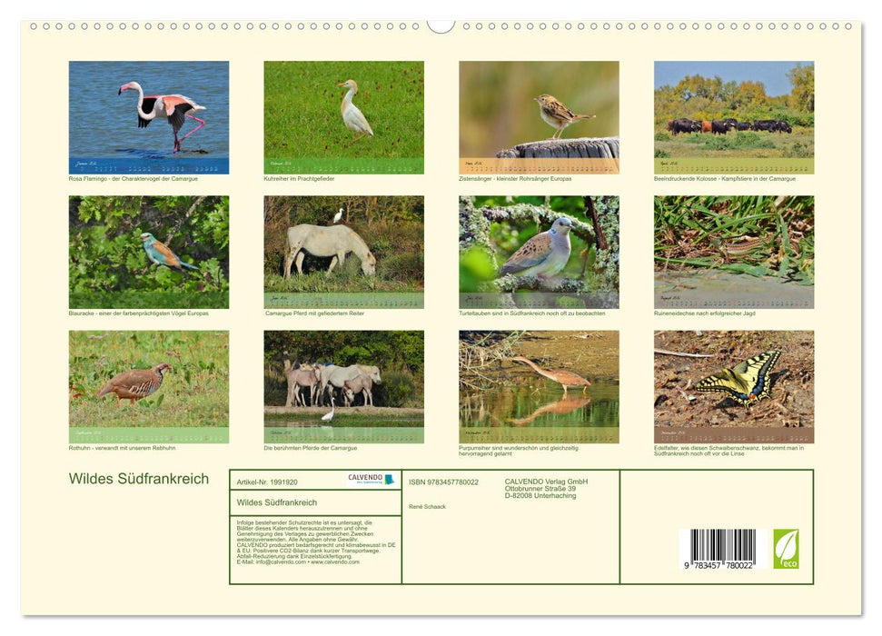 Wildes Südfrankreich (CALVENDO Premium Wandkalender 2026)