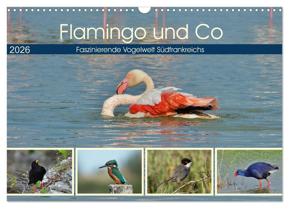 Flamingo und Co - Faszinierende Vogelwelt Südfrankreichs (CALVENDO Wandkalender 2026)