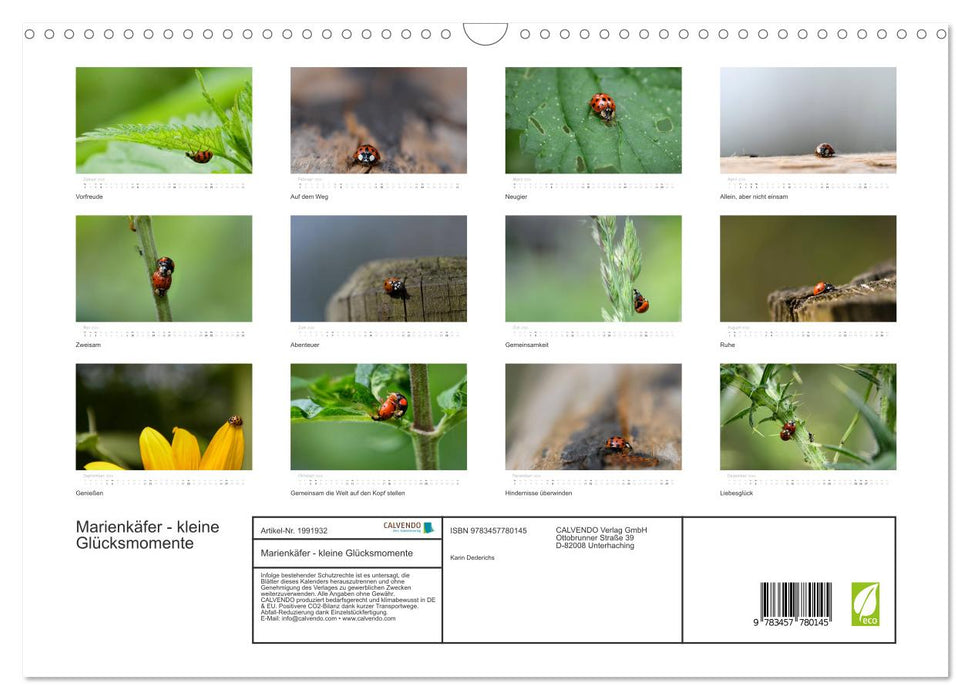 Marienkäfer - kleine Glücksmomente (CALVENDO Wandkalender 2026)