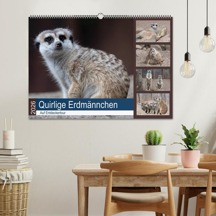Quirlige Erdmännchen (CALVENDO Wandkalender 2026)