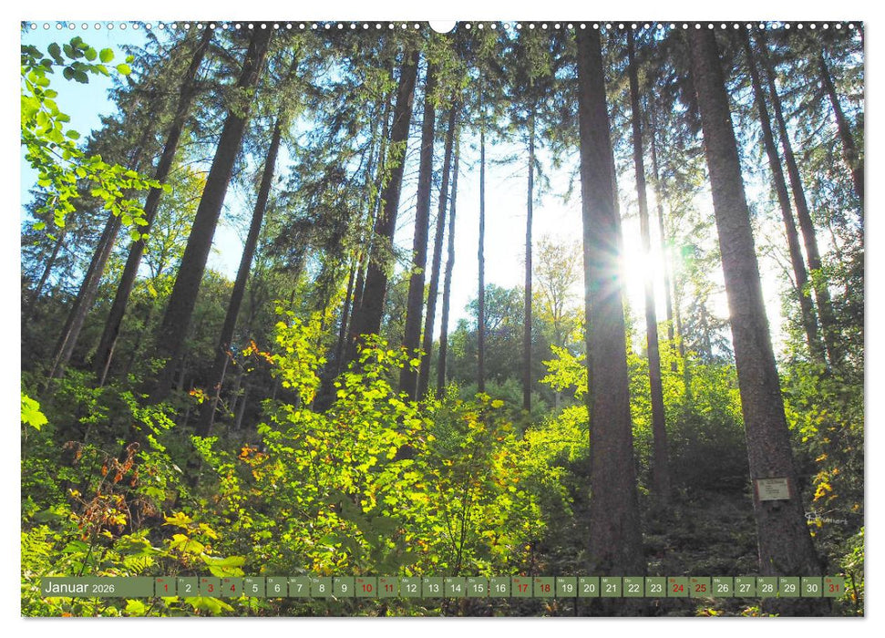 Bad Sachsa - Landschaftsmomente im Südharz (CALVENDO Wandkalender 2026)