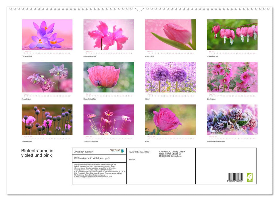 Blütenträume in violett und pink (CALVENDO Wandkalender 2026)