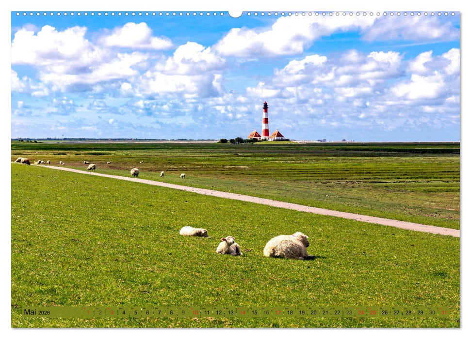 EIDERSTEDT-HIGHLIGHTS (CALVENDO Wandkalender 2026)