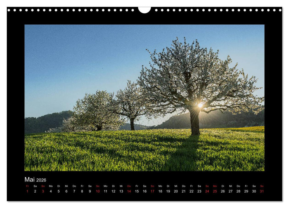 My Switzerland (CALVENDO Wandkalender 2026)