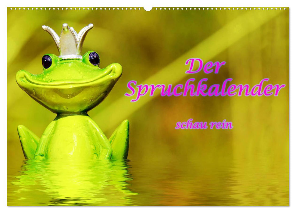 Spruchkalender - schau rein (CALVENDO Wandkalender 2026)