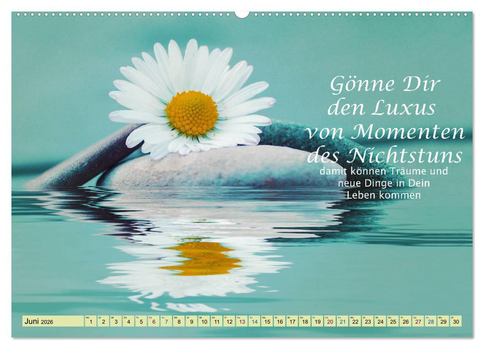 Spruchkalender - schau rein (CALVENDO Wandkalender 2026)