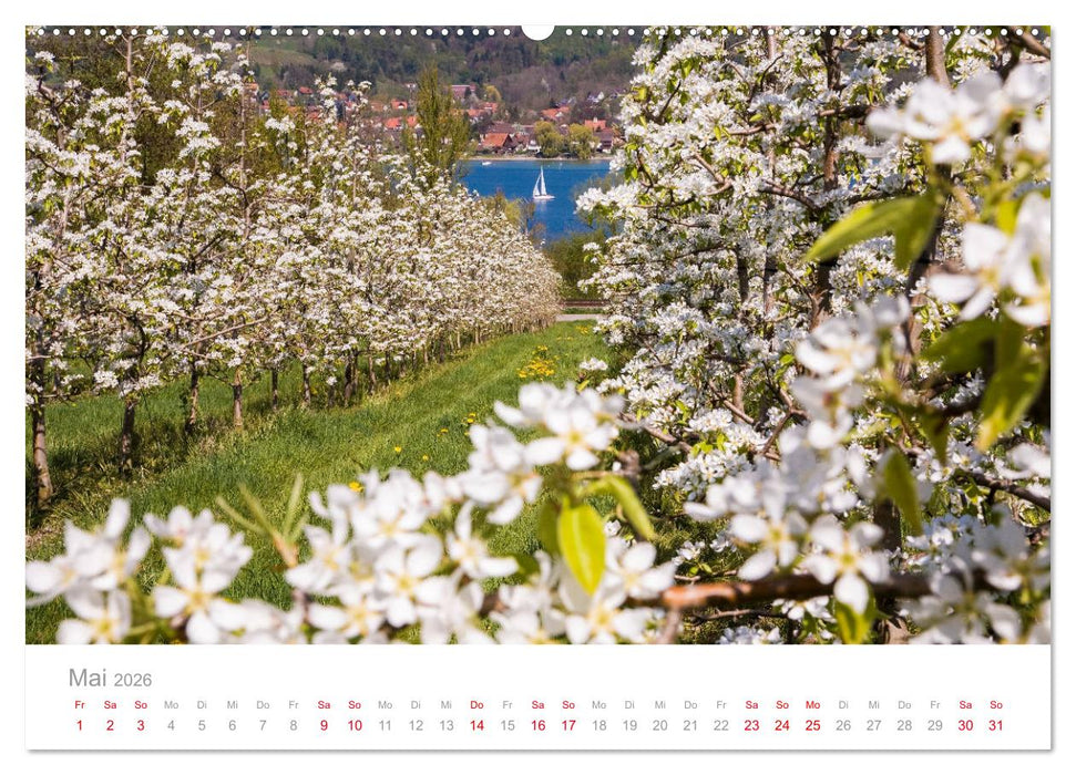 BODENSEE Drei Länder - ein See (CALVENDO Wandkalender 2026)