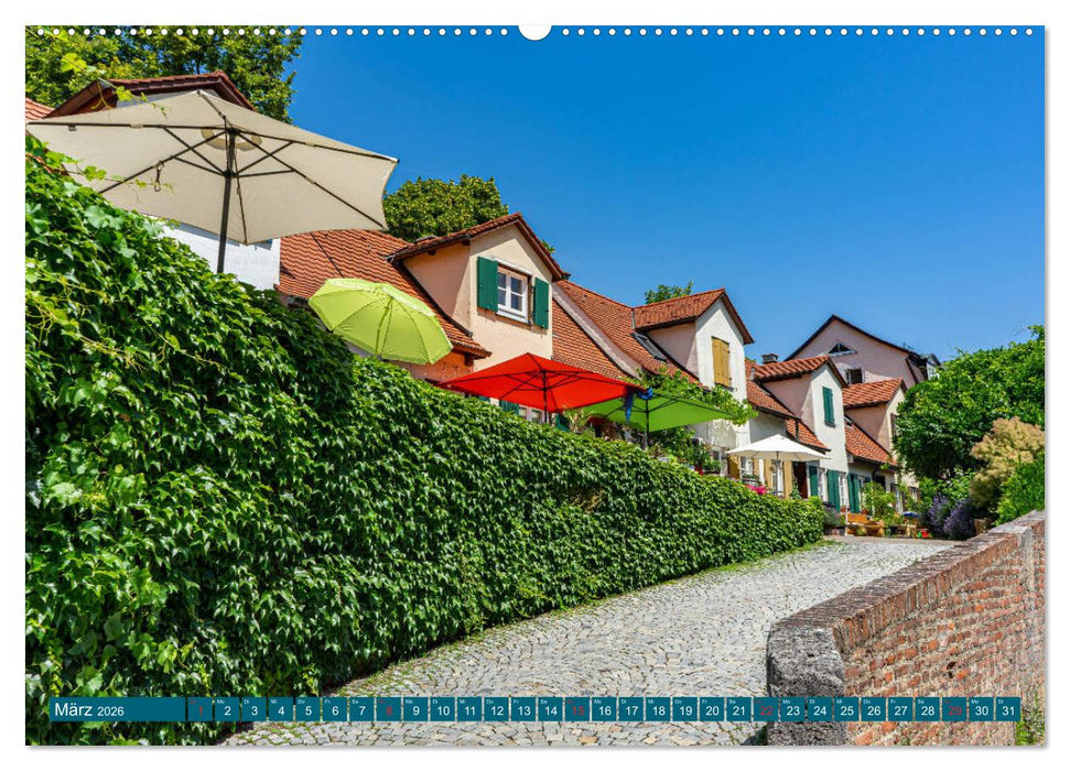 Quer durch Ulm (CALVENDO Wandkalender 2026)