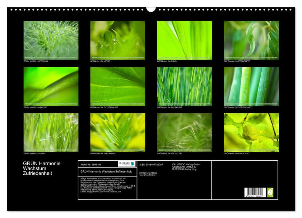GRÜN Harmonie Wachstum Zufriedenheit (CALVENDO Wandkalender 2026)