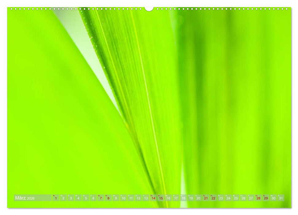 GRÜN Harmonie Wachstum Zufriedenheit (CALVENDO Wandkalender 2026)