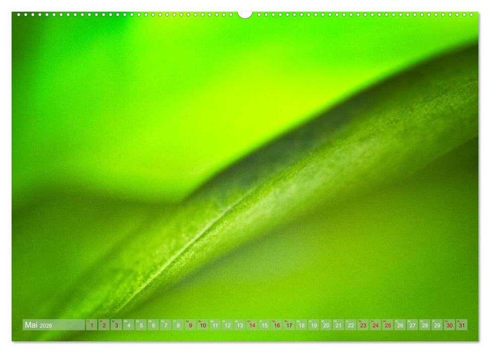 GRÜN Harmonie Wachstum Zufriedenheit (CALVENDO Wandkalender 2026)