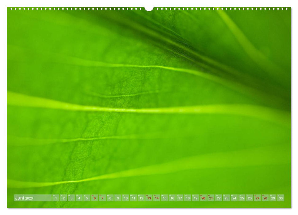 GRÜN Harmonie Wachstum Zufriedenheit (CALVENDO Wandkalender 2026)