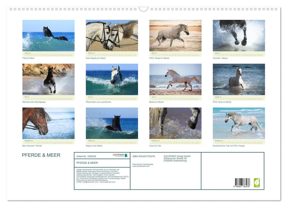 PFERDE & MEER (CALVENDO Wandkalender 2026)