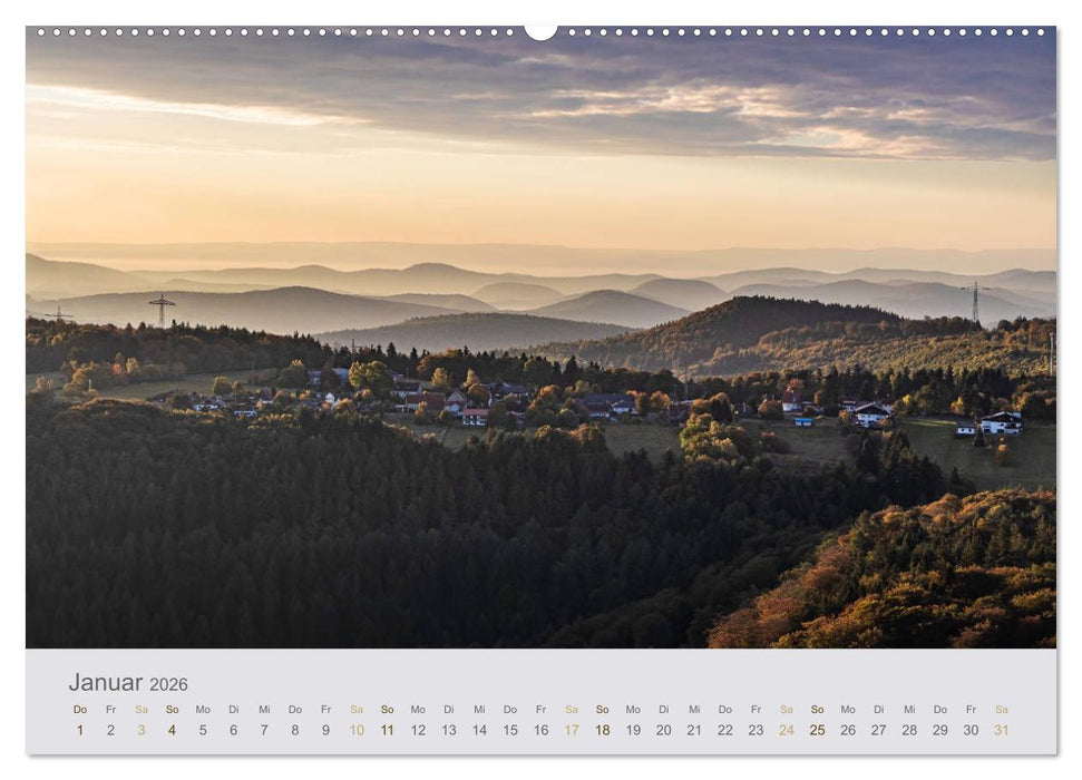 Augenblicke im Pfälzerwald (CALVENDO Wandkalender 2026)