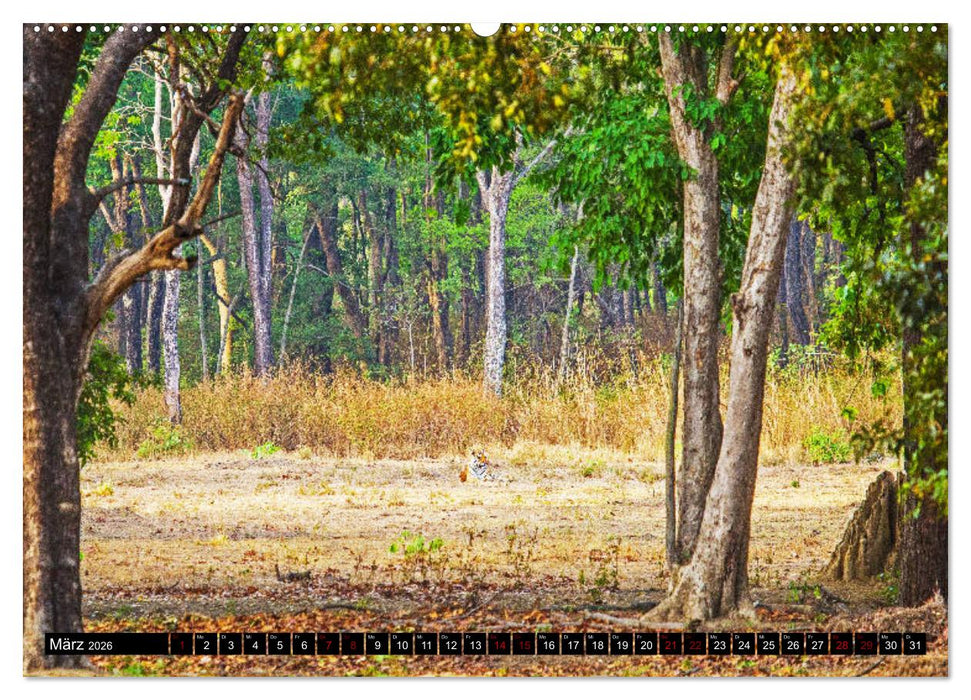 Indien - Im Reich des Tigers (CALVENDO Wandkalender 2026)