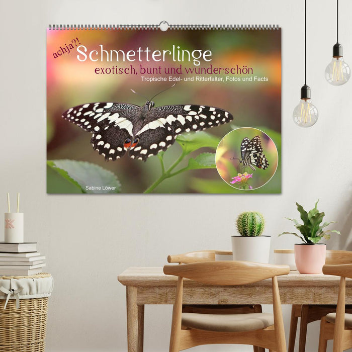 achja?! Schmetterlinge, exotisch, bunt und wunderschön (CALVENDO Wandkalender 2026)