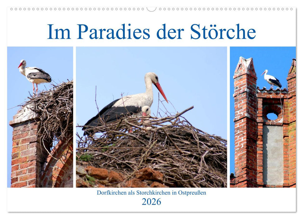 Im Paradies der Störche - Dorfkirchen als Storchkirchen in Ostpreußen (CALVENDO Wandkalender 2026)