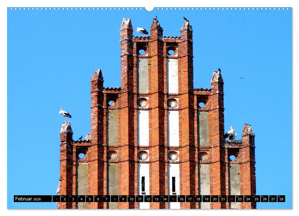 Im Paradies der Störche - Dorfkirchen als Storchkirchen in Ostpreußen (CALVENDO Wandkalender 2026)
