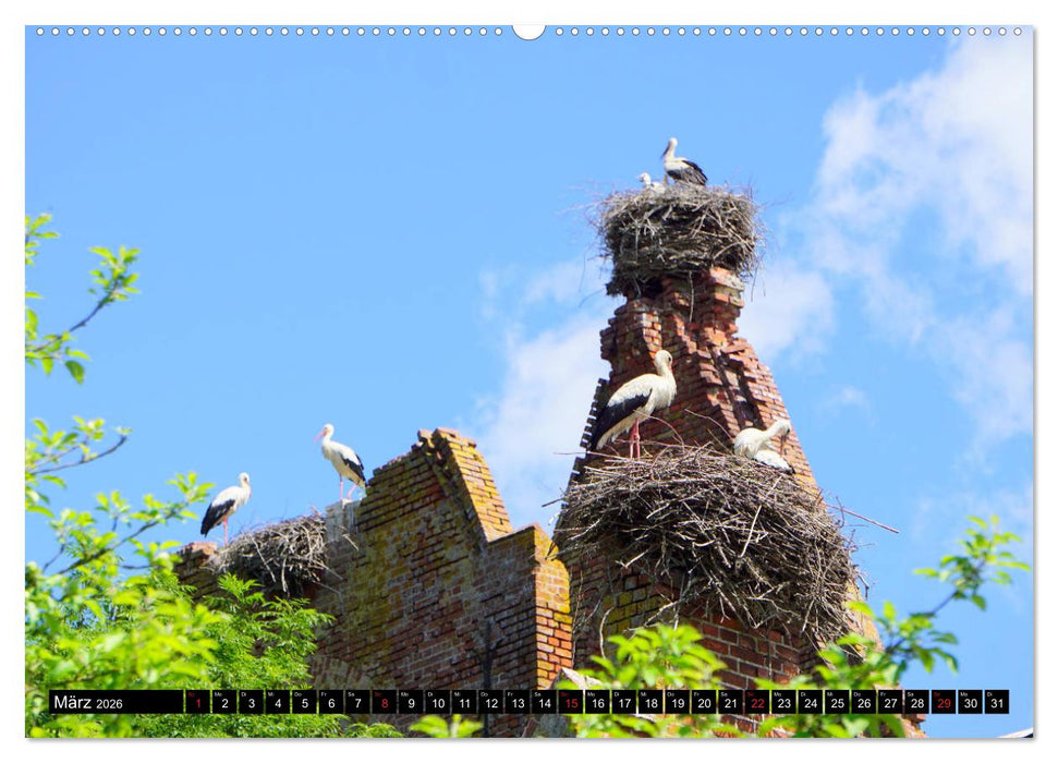 Im Paradies der Störche - Dorfkirchen als Storchkirchen in Ostpreußen (CALVENDO Wandkalender 2026)