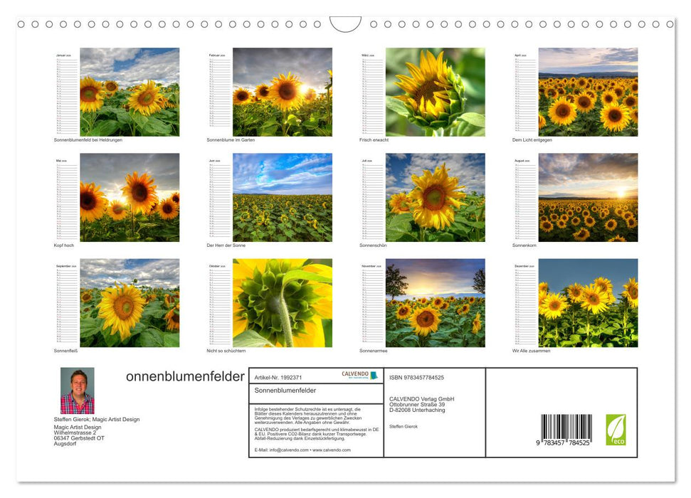 Sonnenblumenfelder (CALVENDO Wandkalender 2026)