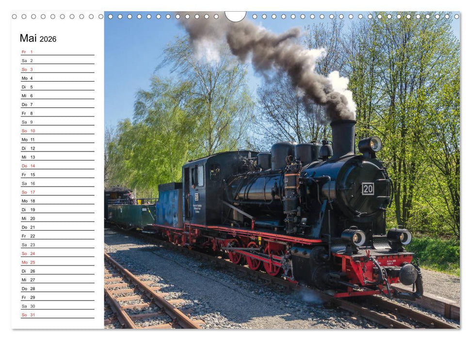 Schmalspurbahnen im Harz (CALVENDO Wandkalender 2026)
