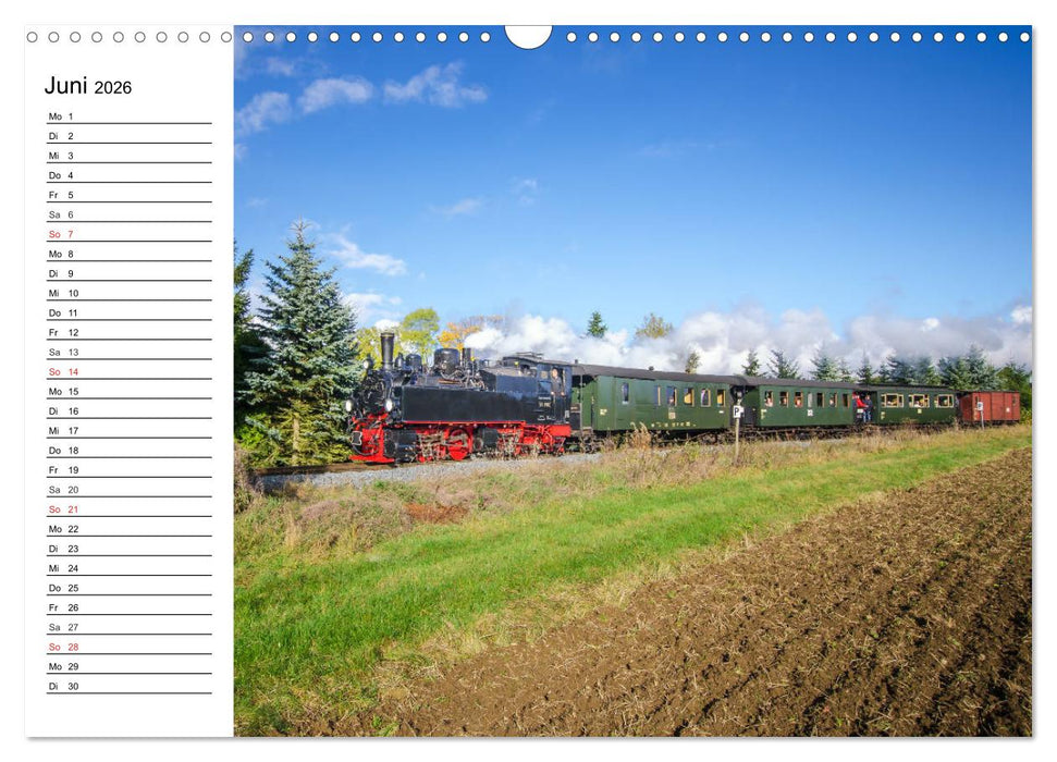 Schmalspurbahnen im Harz (CALVENDO Wandkalender 2026)