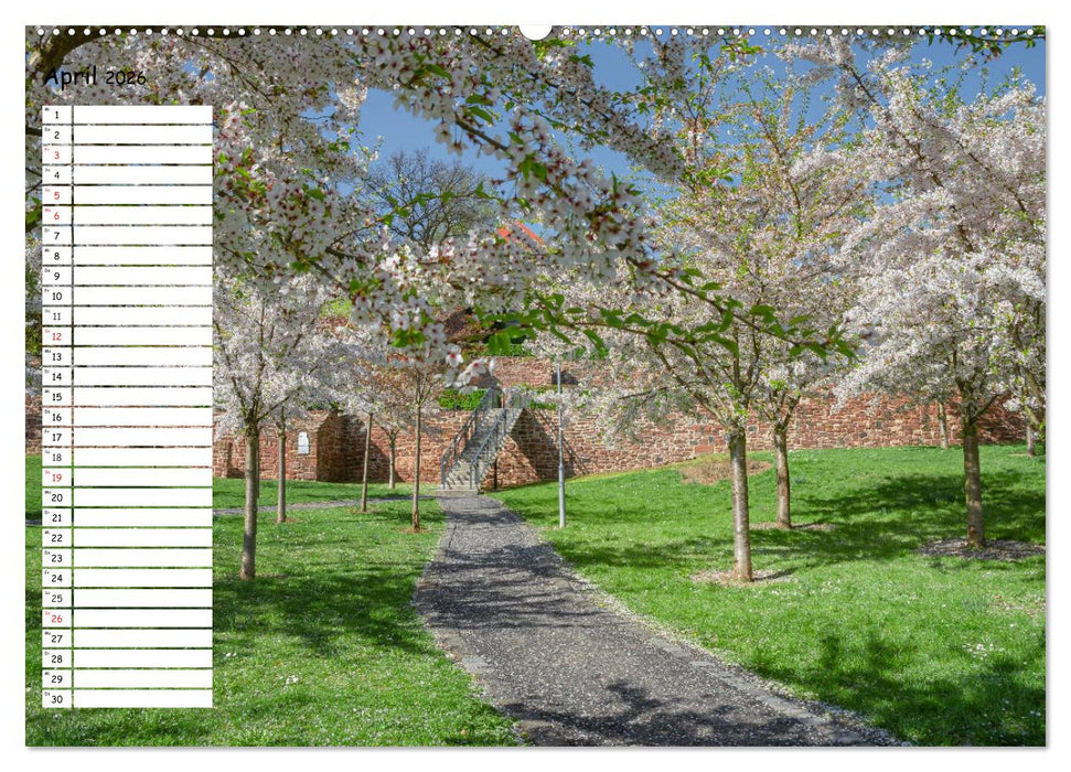 Lutherstadt Eisleben (CALVENDO Wandkalender 2026)