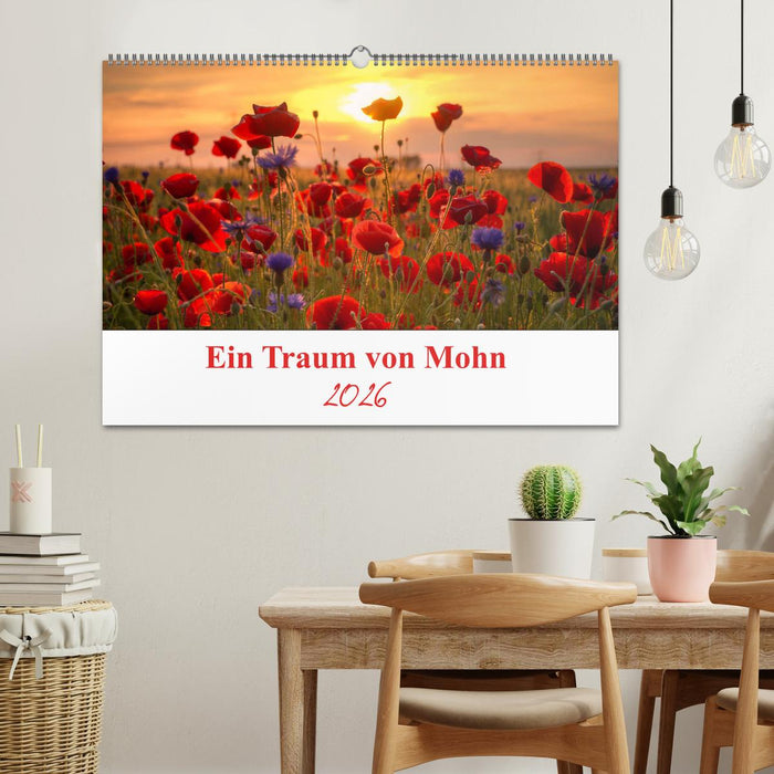 Ein Traum von Mohn (CALVENDO Wandkalender 2026)