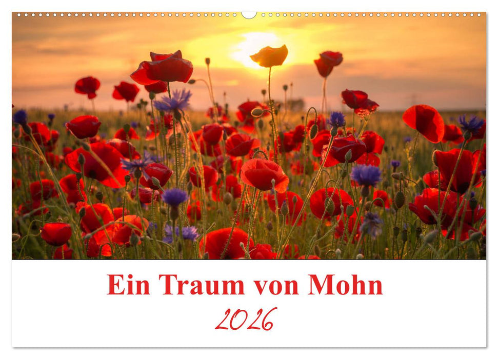 Ein Traum von Mohn (CALVENDO Wandkalender 2026)