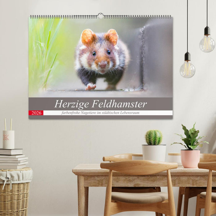 Herzige Feldhamster - farbenfrohe Nagetiere im städtischen Lebensraum (CALVENDO Wandkalender 2026)