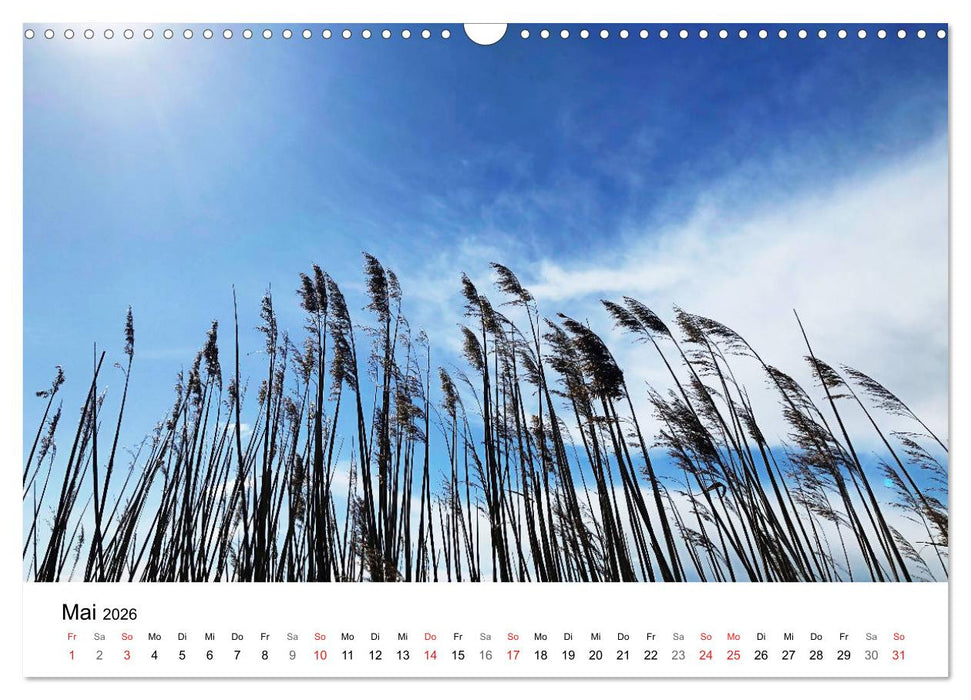 Borkum - Wo die Zeit still steht. (CALVENDO Wandkalender 2026)