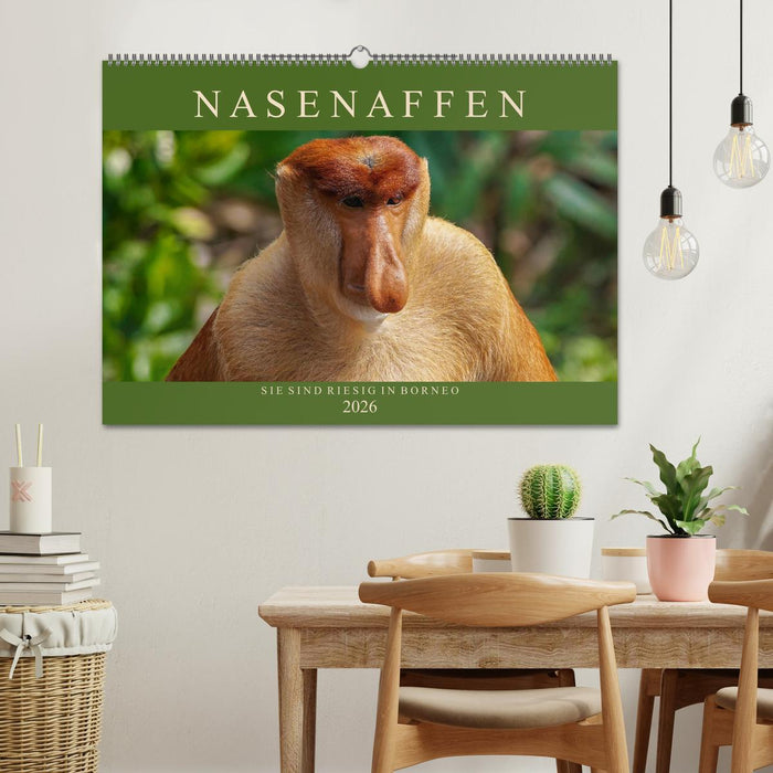 Nasenaffen von Borneo (CALVENDO Wandkalender 2026)