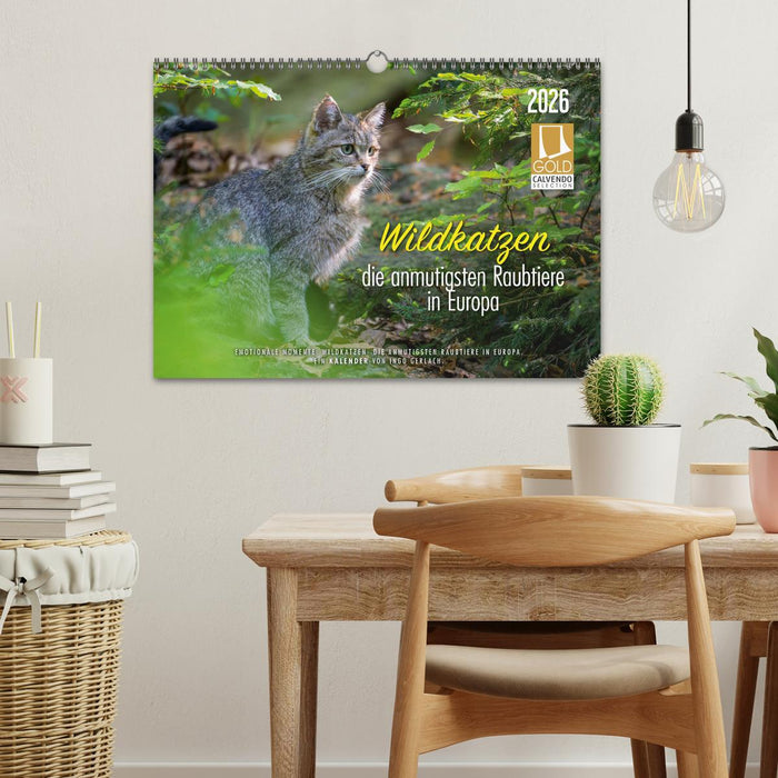 Wildkatzen - die anmutigsten Raubiere in Europa. (CALVENDO Wandkalender 2026)