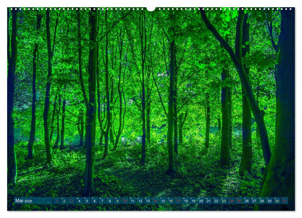 Bielefeld - Der Obersee - unendliche Motive... (CALVENDO Wandkalender 2026)