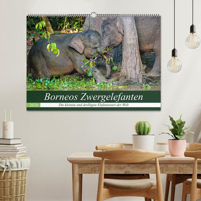Borneos Zwergelefanten (CALVENDO Wandkalender 2026)