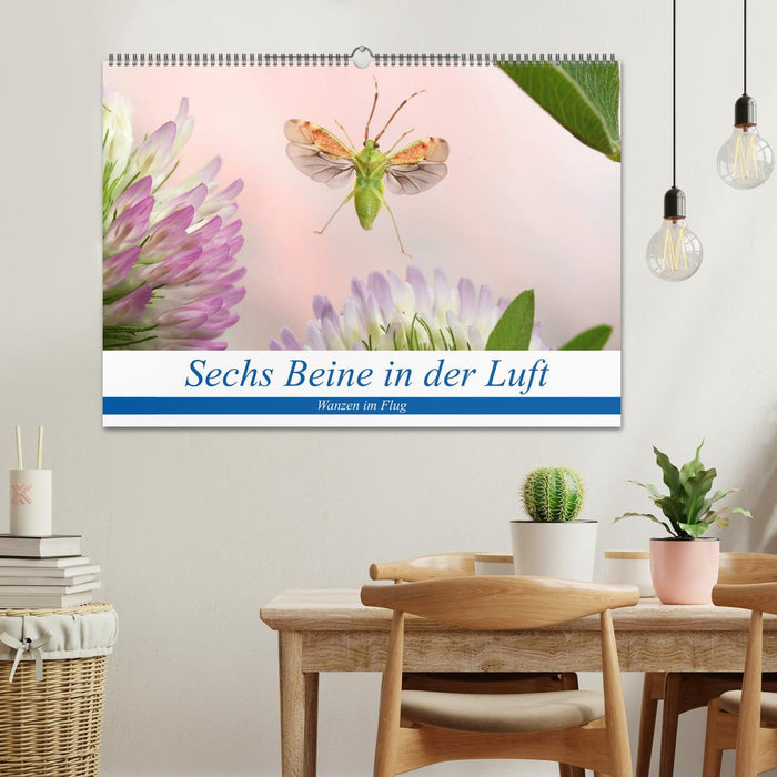 Sechs Beine in der Luft - Wanzen im Flug (CALVENDO Wandkalender 2026)