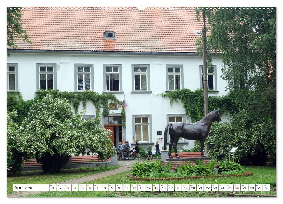 Mythos Trakehnen - Paradies ohne Pferde (CALVENDO Wandkalender 2026)