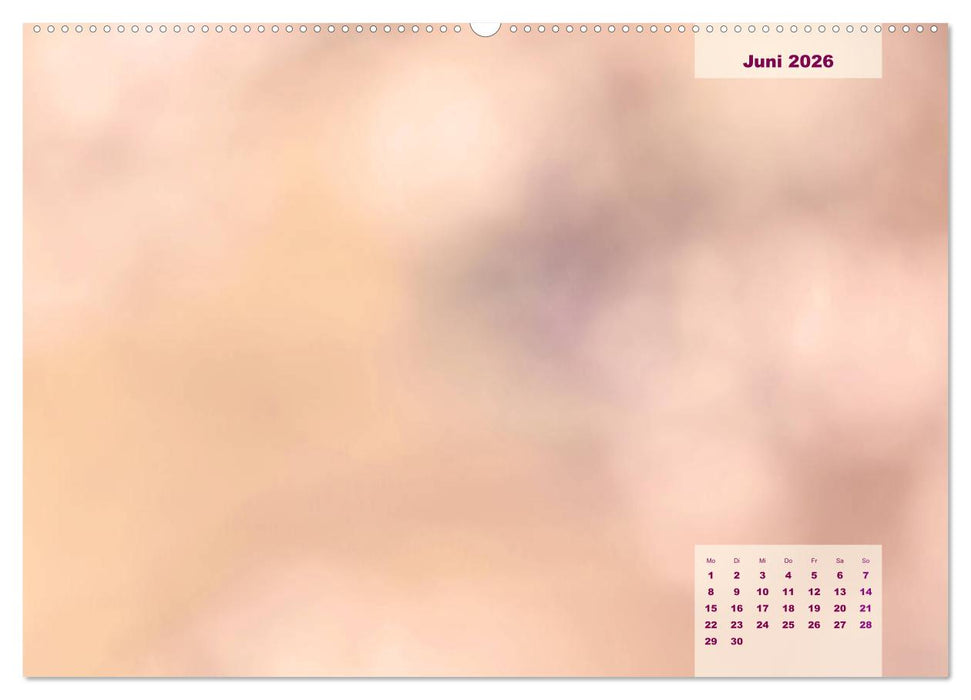 Meine Familie - mein Leben - die schönsten Momente - Bastelkalender (CALVENDO Wandkalender 2026)