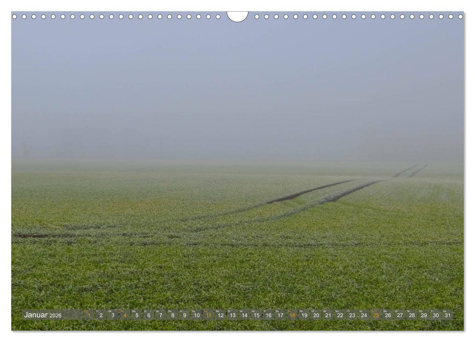 Im Oderbruch (CALVENDO Wandkalender 2026)