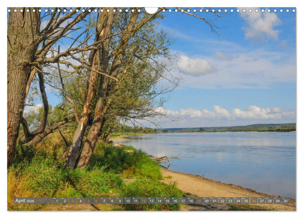 Im Oderbruch (CALVENDO Wandkalender 2026)